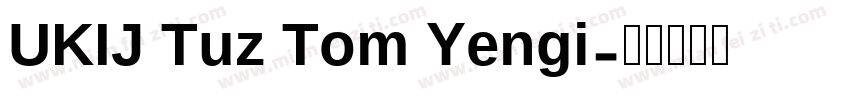 UKIJ Tuz Tom Yengi字体转换